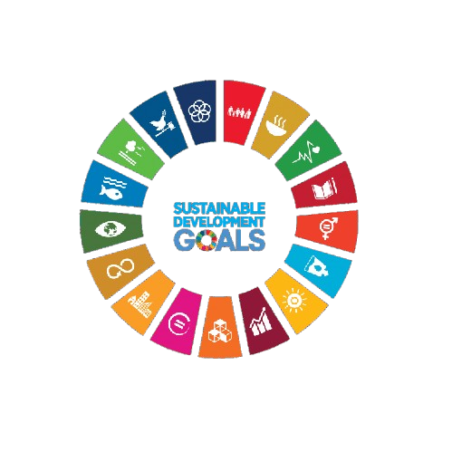 UN Sustainable Development Goals wheel